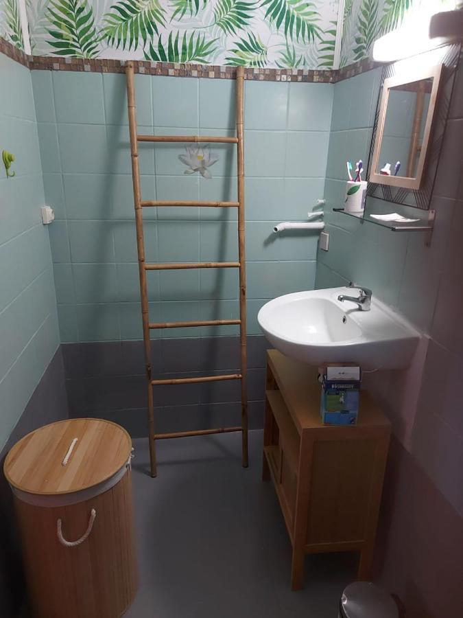 Le Dominad bas de villa 700m du bain chaud canalsat gratuit parking privé gratuit wi fi gratuit Bouillante Extérieur photo